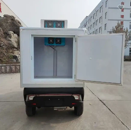 Cheap Price Logistics Truck Motor Electric Van For Cargo To Europe Electric Mini Pickup