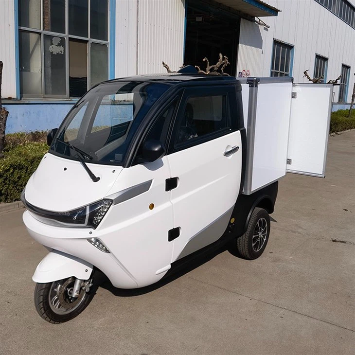 L5e China Pedal Cargo Tricycle New Energy Electric Delivery Vehicle With Van Box For Sale L5e China Pedal Cargo Tricycle New Energy Electric Delivery Vehicle With Van Box For Sale