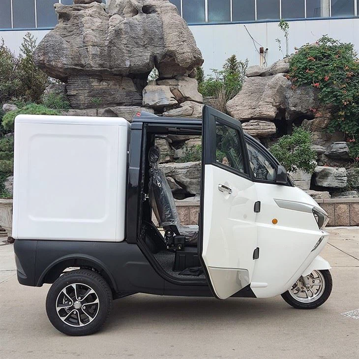 L5e China Pedal Cargo Tricycle New Energy Electric Delivery Vehicle With Van Box For Sale L5e China Pedal Cargo Tricycle New Energy Electric Delivery Vehicle With Van Box For Sale