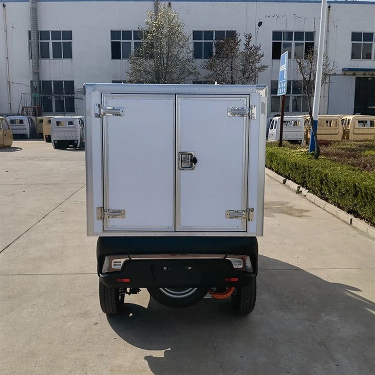 L5e China Pedal Cargo Tricycle New Energy Electric Delivery Vehicle With Van Box For Sale L5e China Pedal Cargo Tricycle New Energy Electric Delivery Vehicle With Van Box For Sale