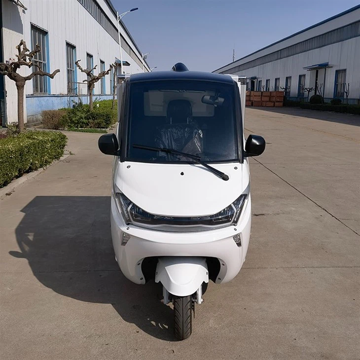 L5e China Pedal Cargo Tricycle New Energy Electric Delivery Vehicle With Van Box For Sale L5e China Pedal Cargo Tricycle New Energy Electric Delivery Vehicle With Van Box For Sale