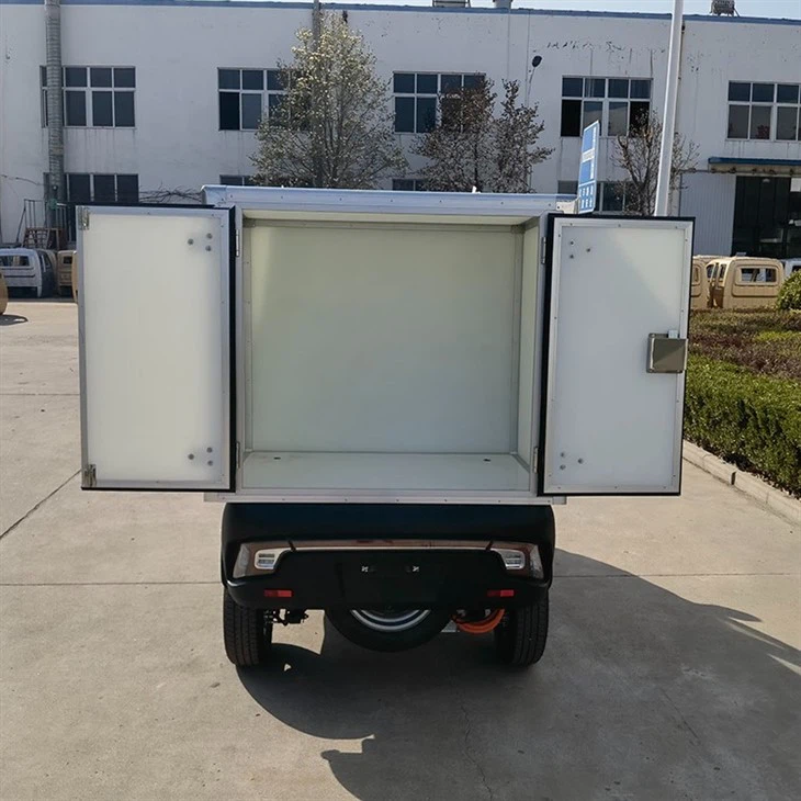 L5e China Pedal Cargo Tricycle New Energy Electric Delivery Vehicle With Van Box For Sale L5e China Pedal Cargo Tricycle New Energy Electric Delivery Vehicle With Van Box For Sale